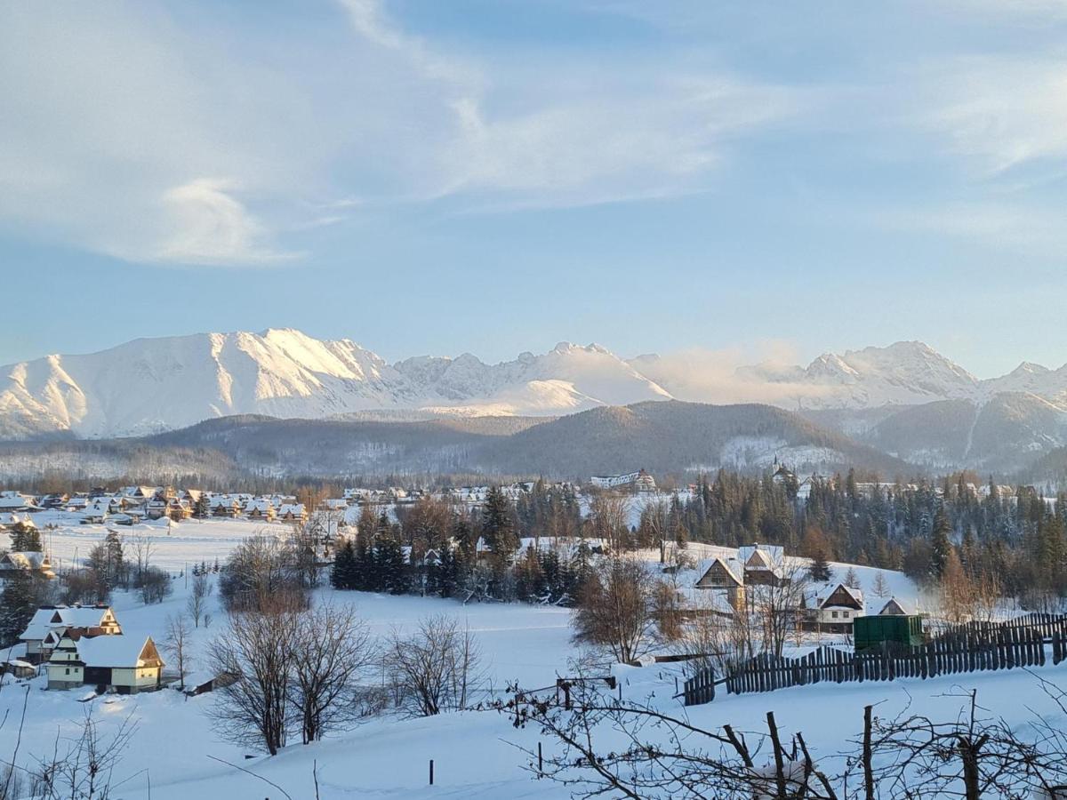 Villa Dorota Закопане Екстер'єр фото