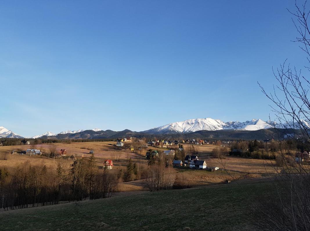Villa Dorota Закопане Екстер'єр фото